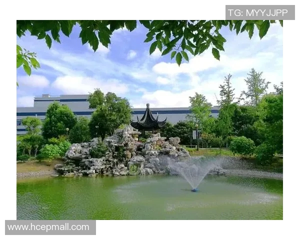 深圳排球队的崛起之路：从默默无闻到钻石联赛的璀璨之星