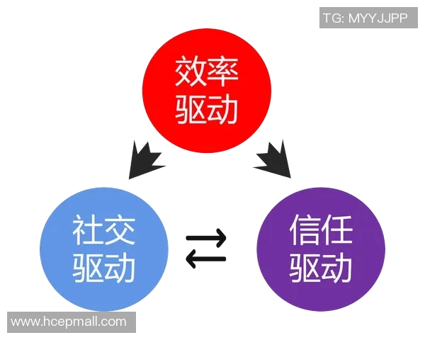 西安排球队灵活性分析与战术调整的深度探讨 西安排球队灵活性分析与战术调整的深度探讨