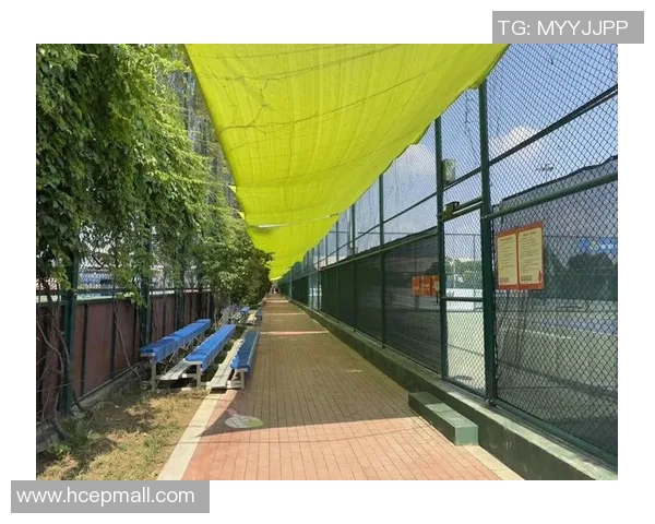 西安网球队在阵地战中的表现分析与反思探讨 西安网球队在阵地战中的表现分析与反思探讨