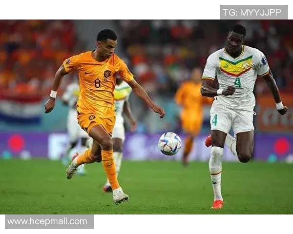 深圳网球队在世界杯积分榜上以87分稳居第一名展现强劲实力