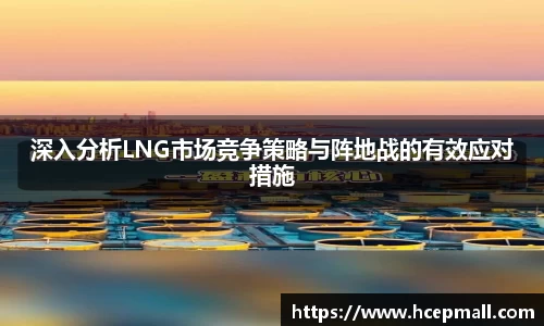 深入分析LNG市场竞争策略与阵地战的有效应对措施