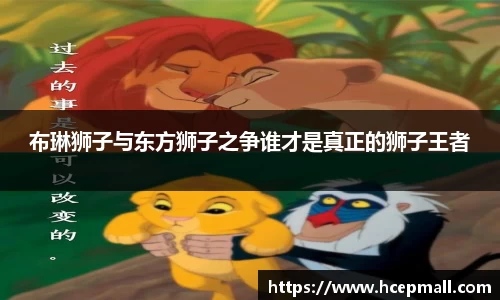 爱游戏ayx官方网站