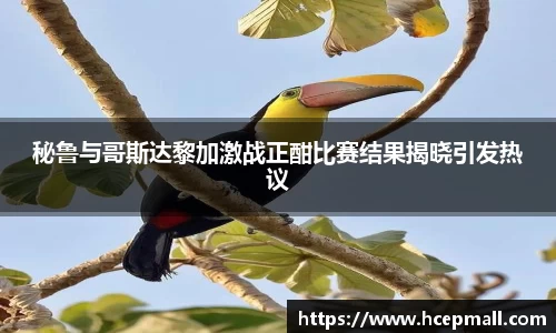 mk体育官网